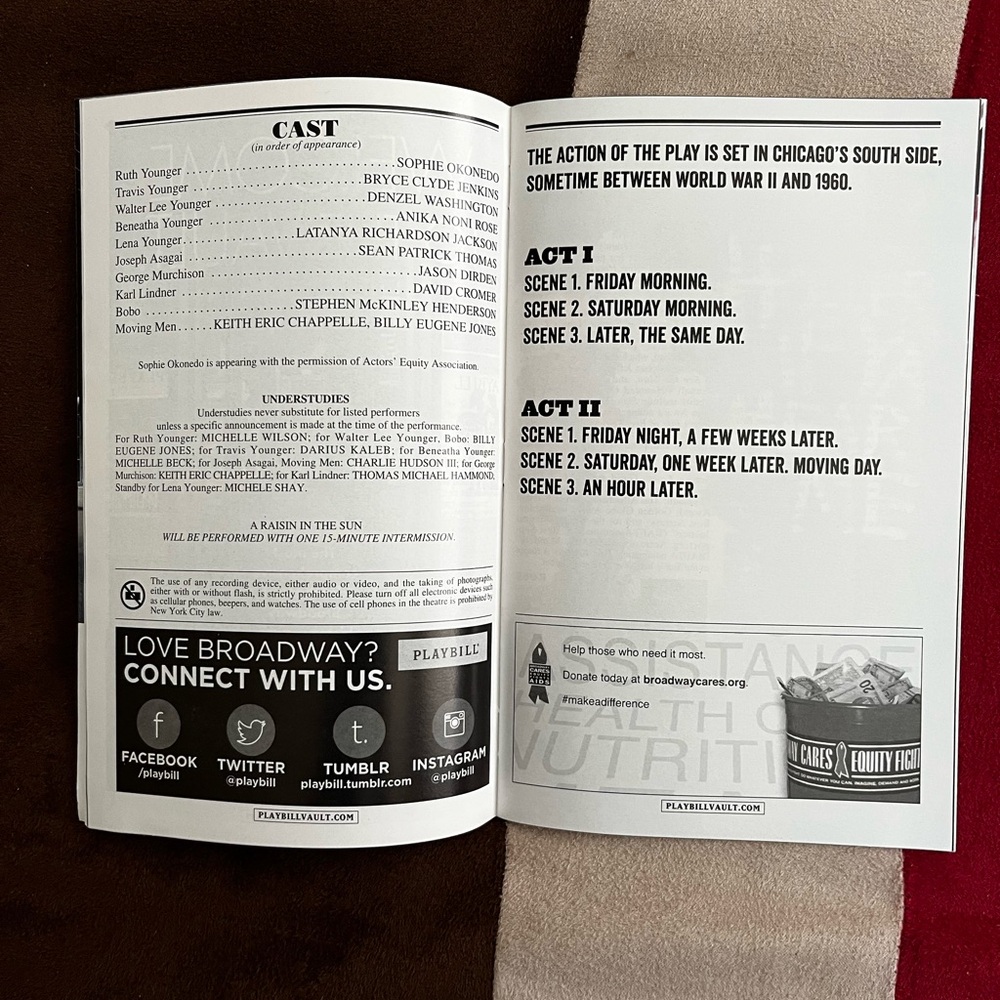 Raisin in the Sun Playbill - Picture 4 of 8